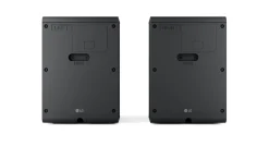 LG DS95TR (2024)