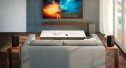 Philips Fidelio FS1 draadloze speaker