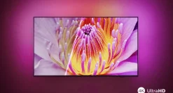 Philips 55PUS8079 Ambilight (2024)