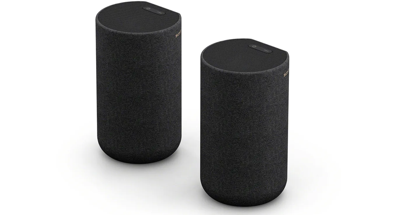 Sony SA-RS5