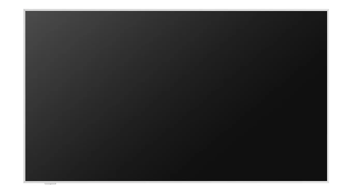 TCL 55A300W (2024)